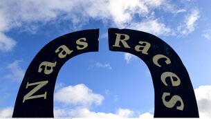 <p>Naas plays host to a decent card on Thursday. File Picture: Matt Browne/Sportsfile</p>