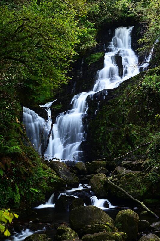Killarney National Park is the largest and most important surviving piece of semi-natural forest on the island of Ireland.