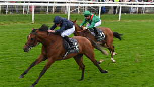 <p>STAR QUALITY: City Of Troy completed a famous Group 1 treble when winning Juddmonte International at York.  	Picture: Healy Racing</p>