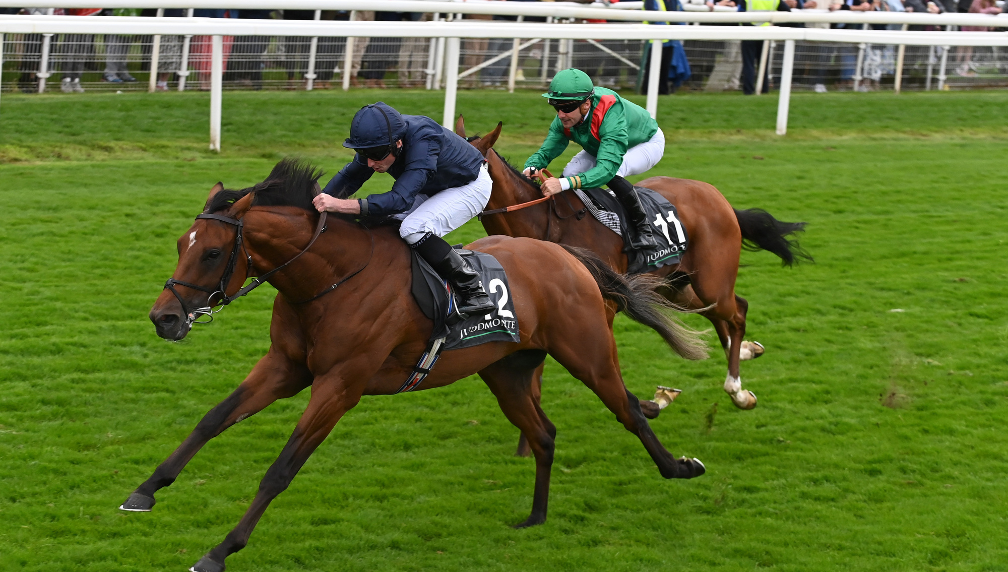 STAR QUALITY: City Of Troy completed a famous Group 1 treble when winning Juddmonte International at York.  	Picture: Healy Racing
