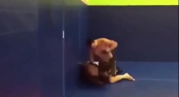 Man trolls UFC fighter and shows up for fight afterwards