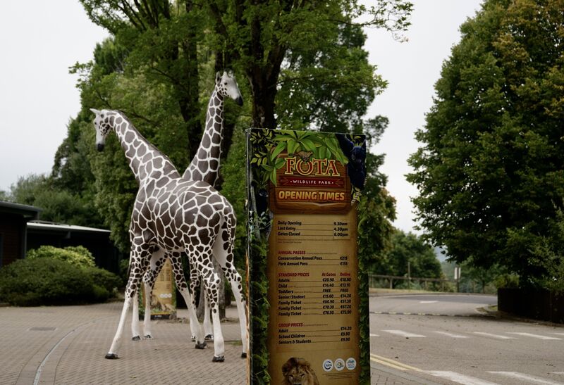 Fota Wildlife Park had 430,000 visitors last year. Picture: Chani Anderson. 