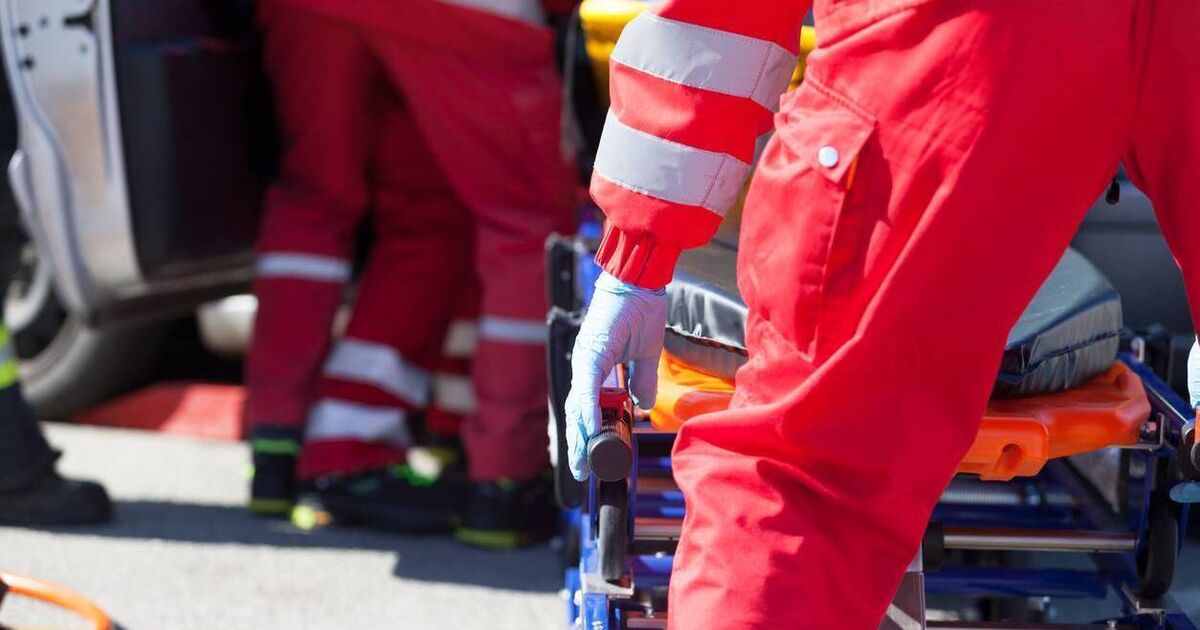 フランスでバス事故、アイルランド観光客少なくとも10人が入院