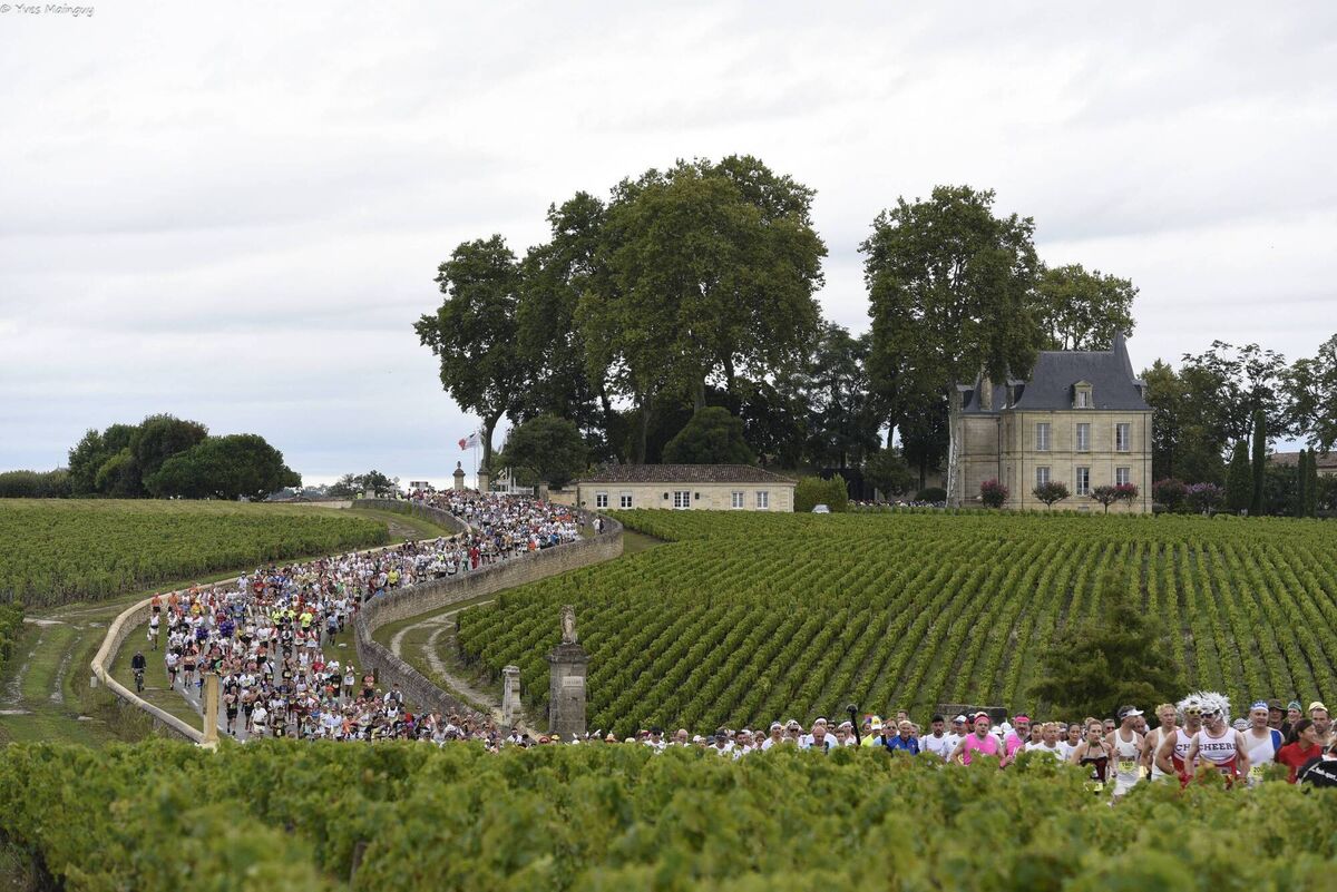 Thousands of runners snaking through the vineyards of Bordeaux
