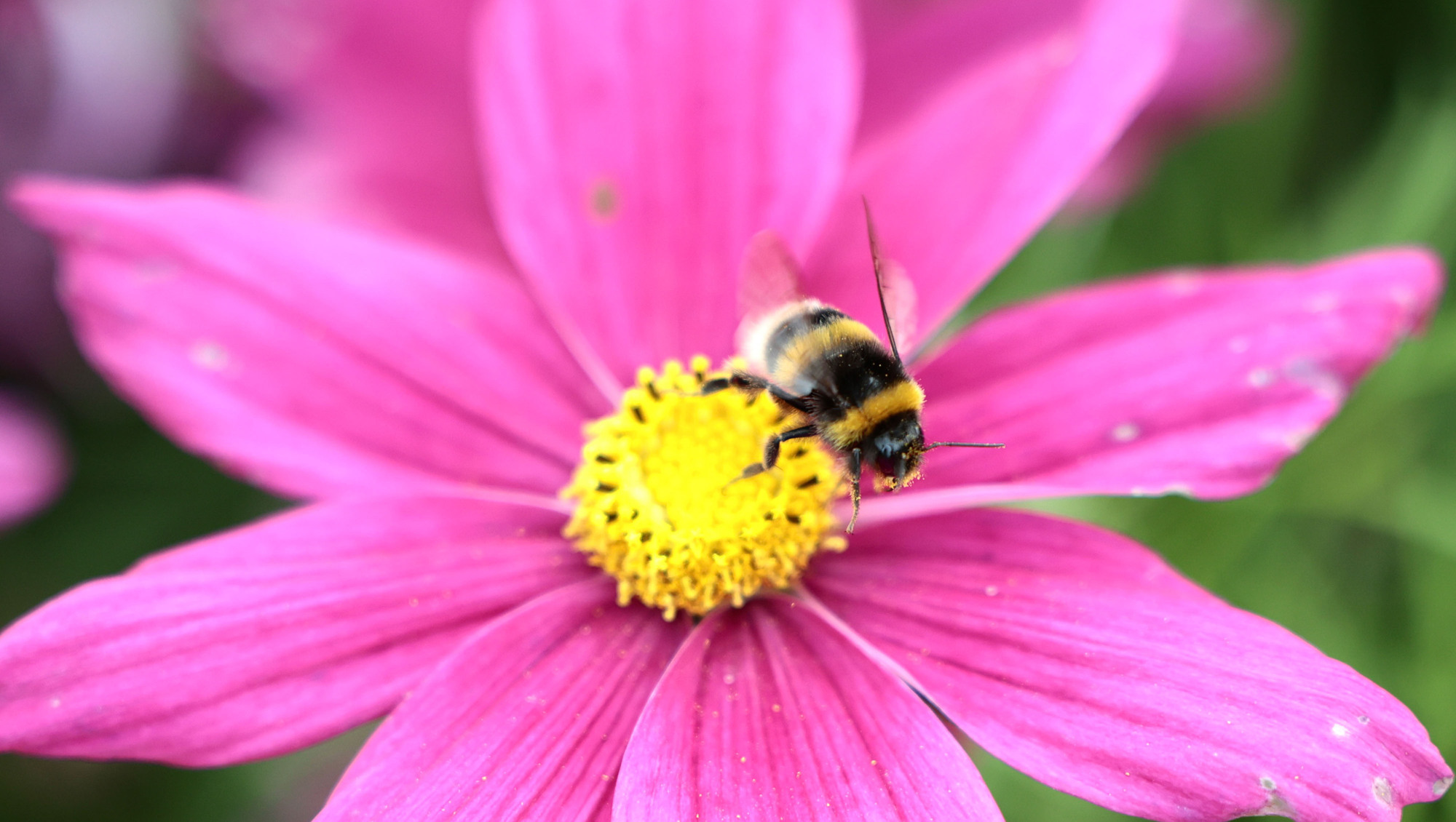 Investing in nature is investing in our future