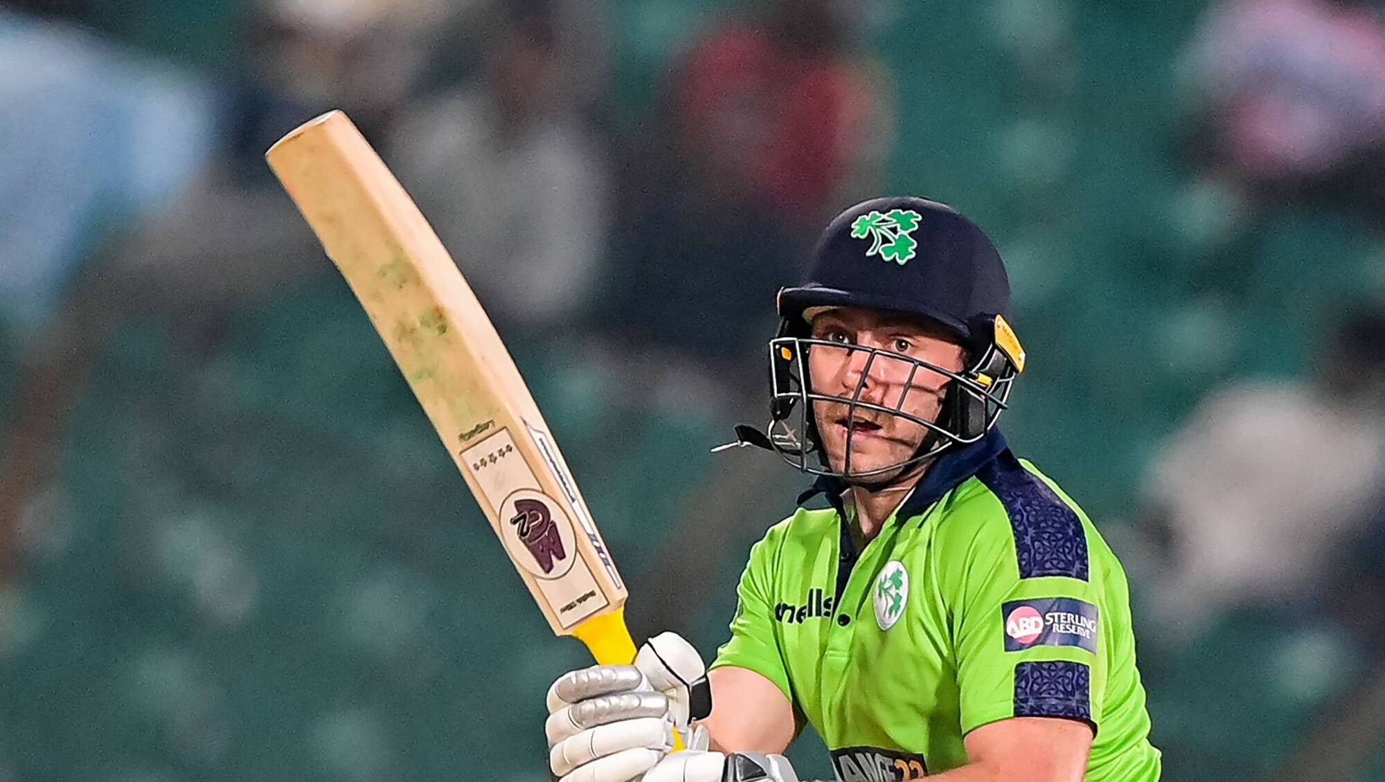 Adair brothers see Ireland to victory over South Africa