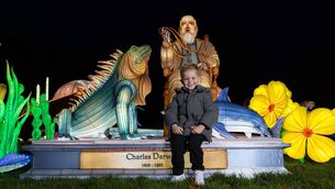 <p>Gary Harte (aged 4) pictured with this years’ Wild Lights lanterns, showcasing ‘A Journey Through Time’. Picture: Patrick Bolger</p>