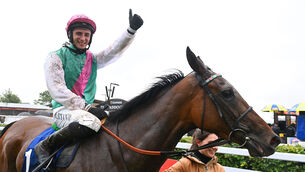 <p>EACH-WAY PLAYER: If supplemented, Bluestocking will be one of just two British-trained horses running in Sunday's Prix de l’Arc de Triomphe.  	Picture: Healy Racing</p>