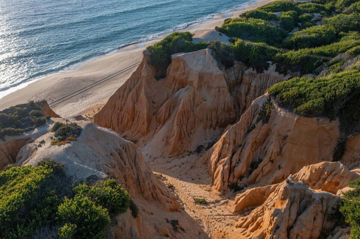 Beaches and dunes define special area of ecological sensitivity