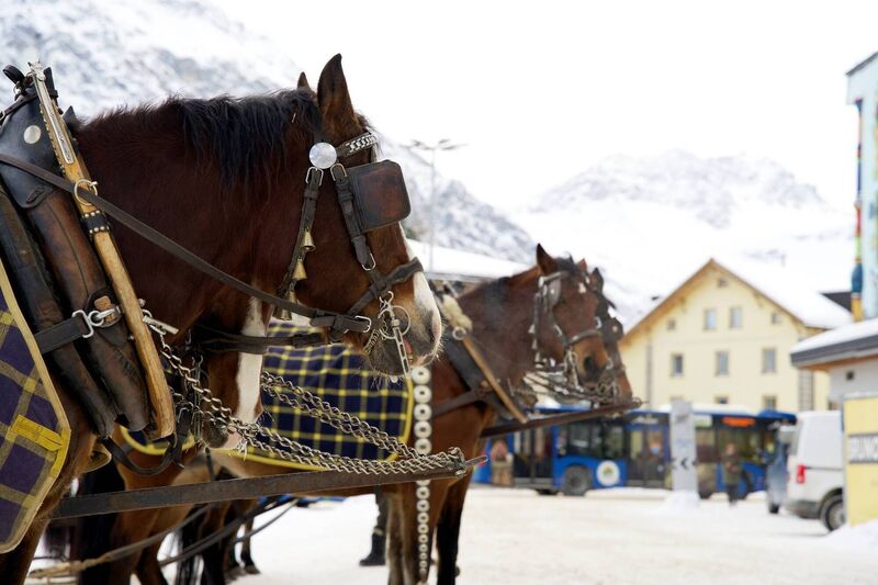Horse-drawn carriages in the Swiss resort of Arosa