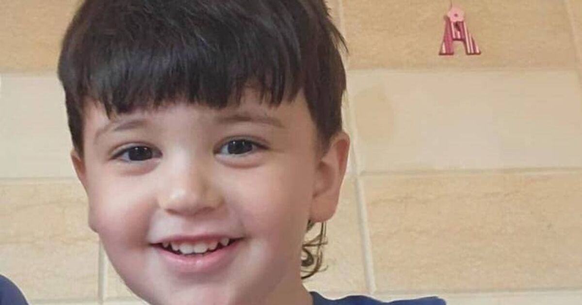 アイルランド人の幼児の母親がタオイサチに嘆願