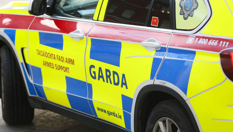  The commission recognised that, while crime was a top priority for gardaí, in practice the majority of its time is spent on “harm prevention”. File Picture: Leah Farrell / RollingNews.ie