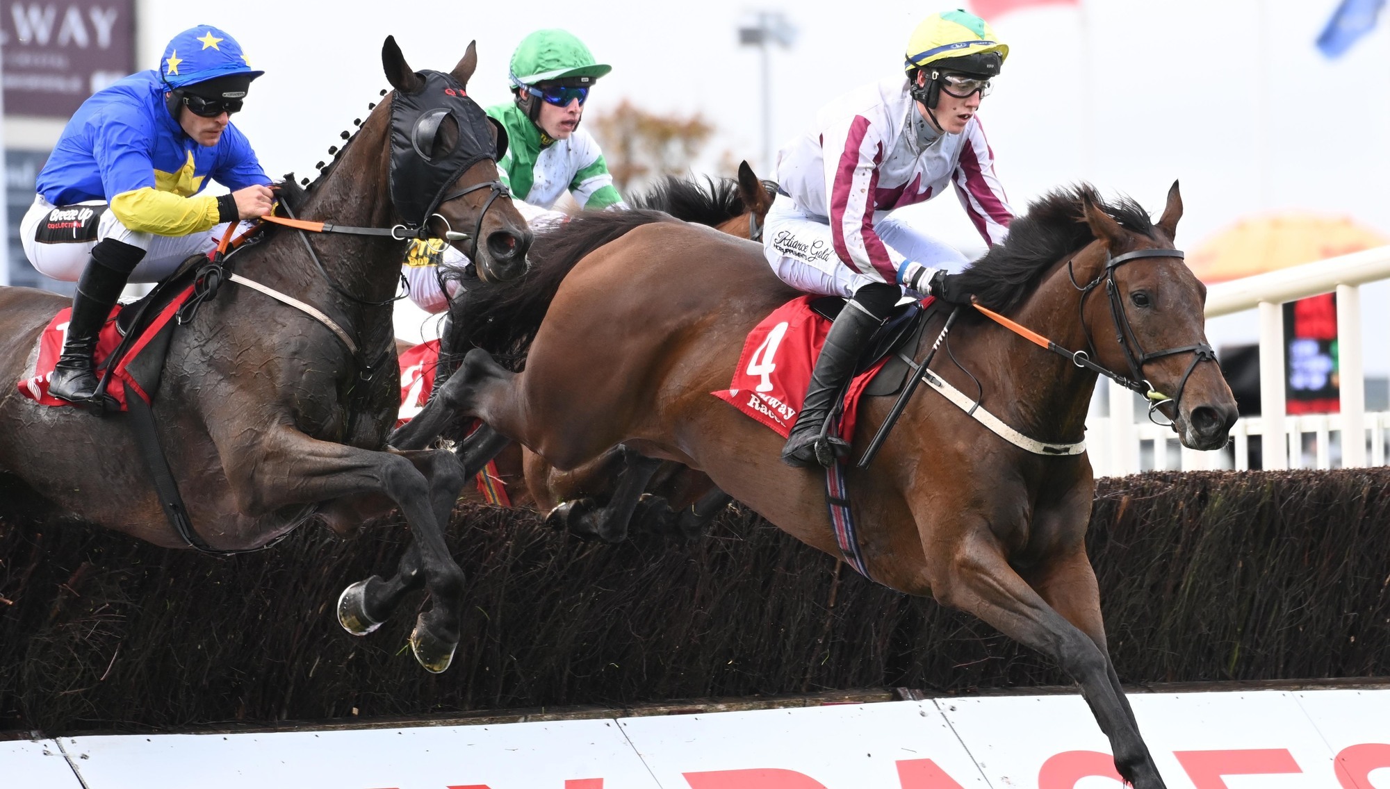 Buddy One makes winning start to life over fences 
