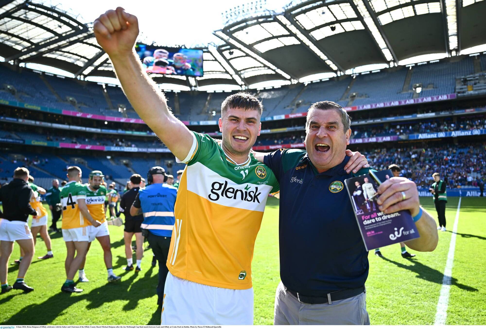Offaly and Laois dominate Joe McDonagh Cup team of the year