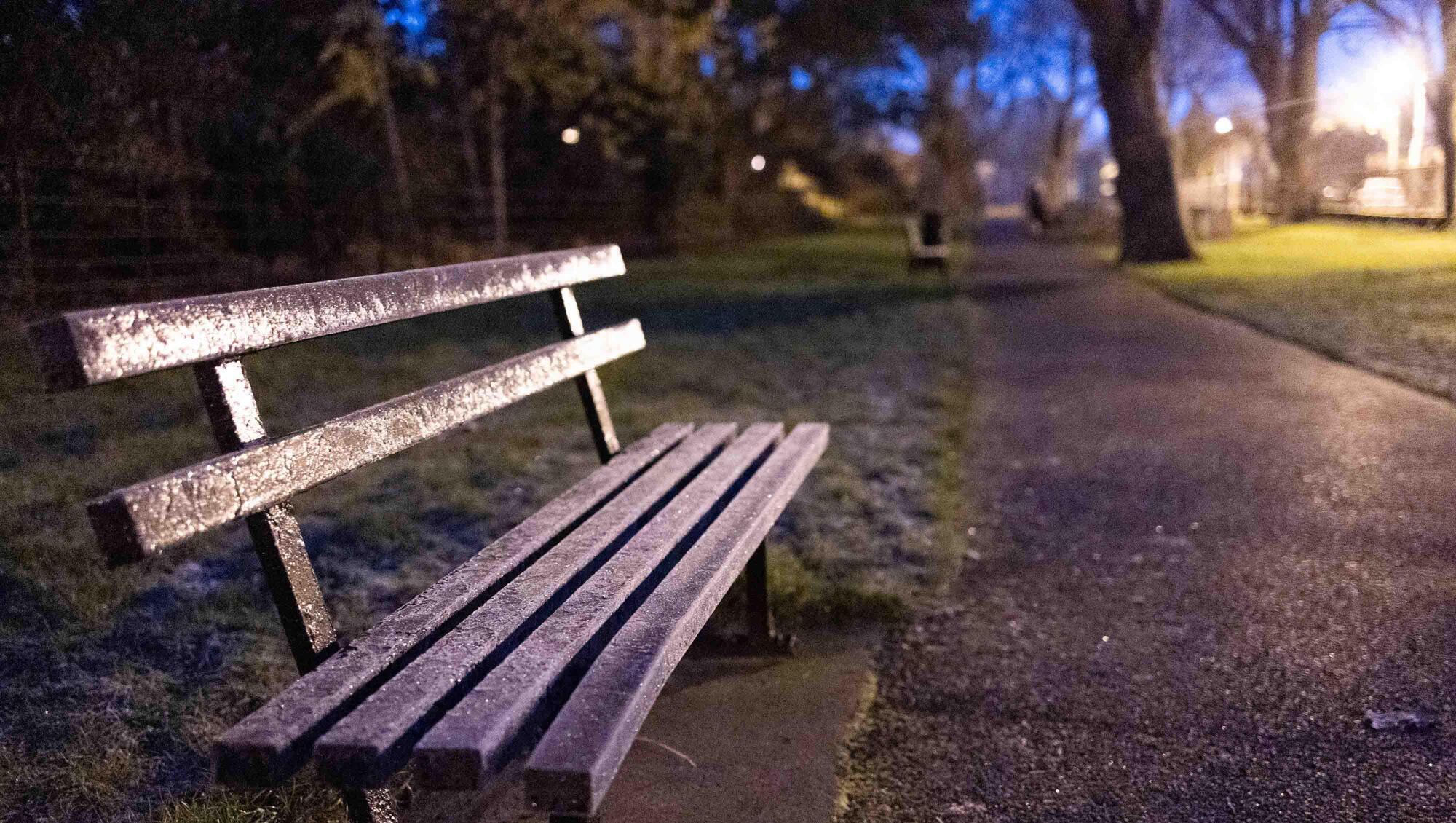 Frost covers the ground and surrounding cars and wildlife in Dublin. Picture: Sam Boal/Rollingnews.ie