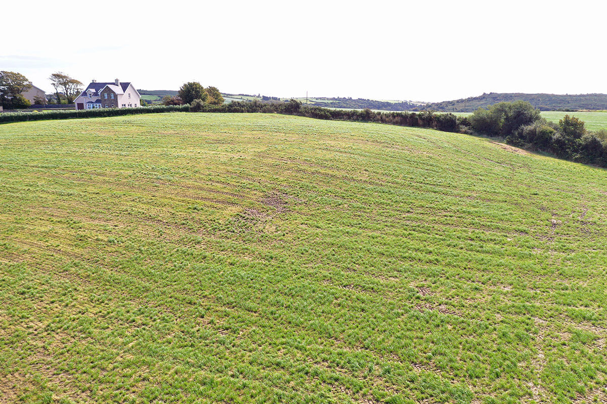 Some of the quality land at Forenaght, Castlehaven.