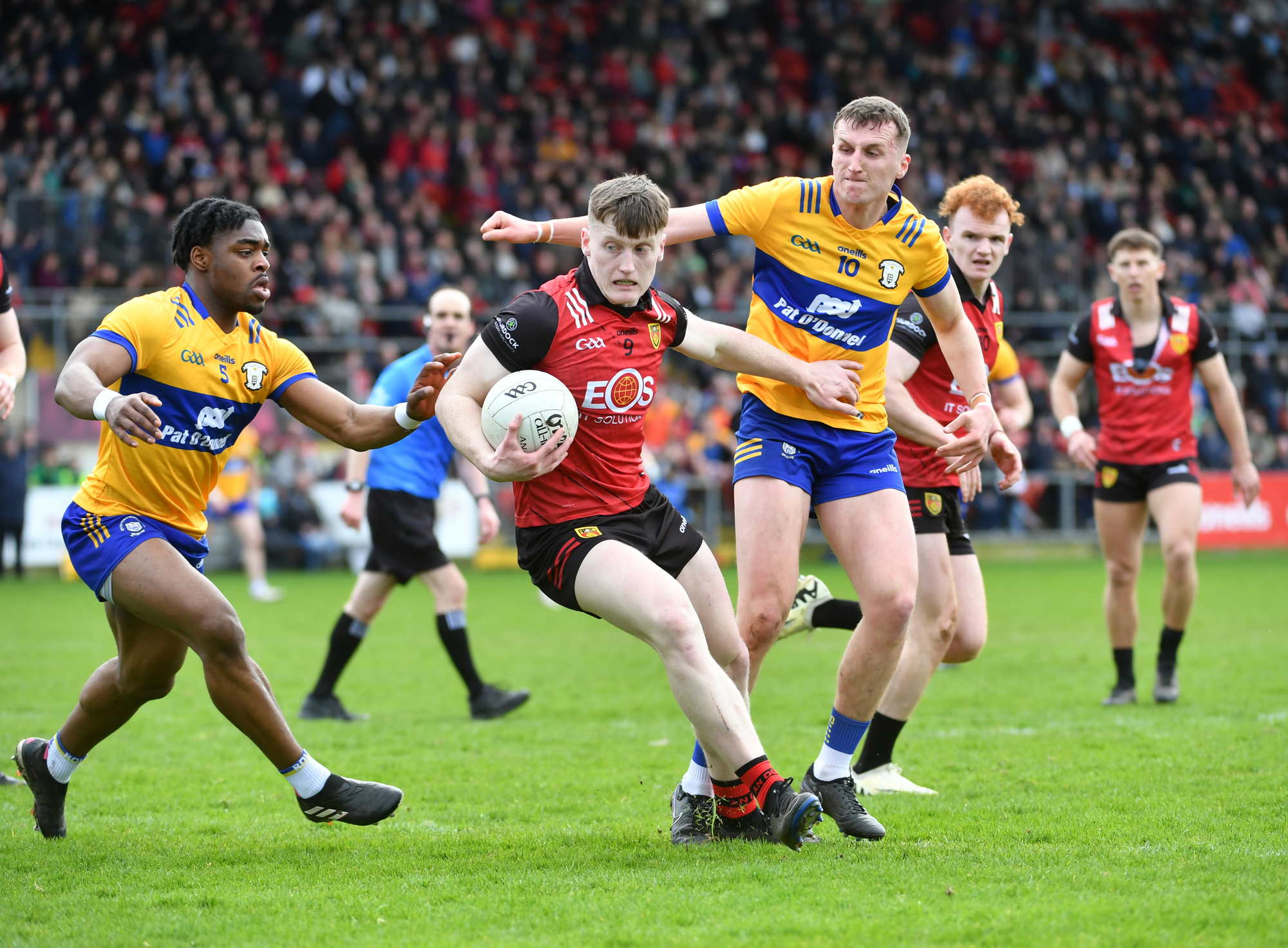 Finalists Down and Laois dominate Tailteann Cup team of the year