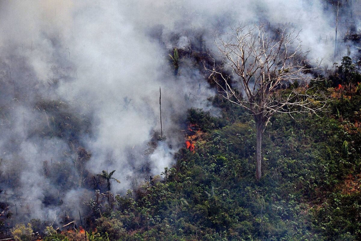 The Amazon rainforest is approaching a tipping point which would emit huge amounts of carbon and alter global weather patterns. Photo: Carl De Souza/AFP via Getty Images