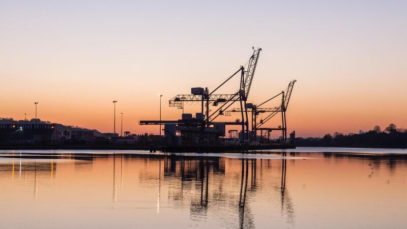 Surge in US trade and recovering pharma sector sees Irish goods exports up 8% in August