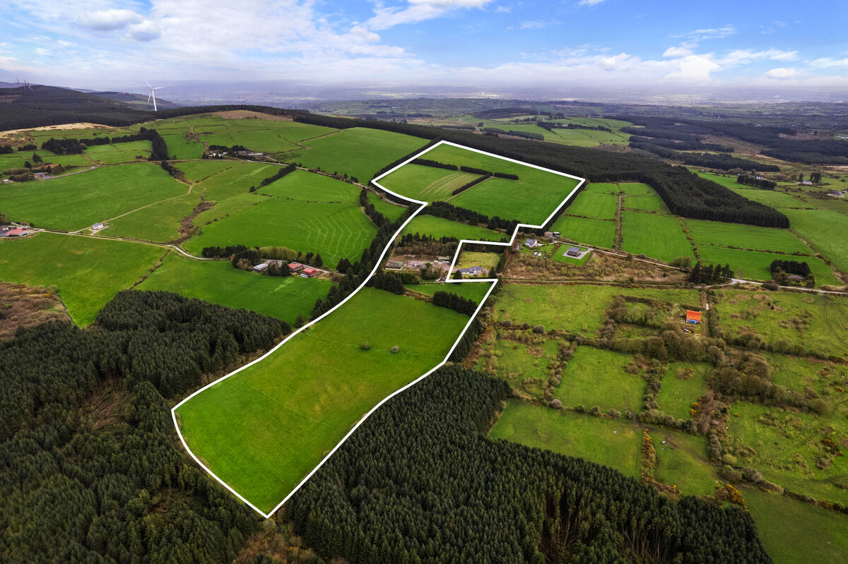 Lot 1 consists of 65.75 acres. It’s divided by the public road and includes three agricultural buildings and a farm yard. Lot 1 consists of 65.75 acres. It’s divided by the public road and includes three agricultural buildings and a farm yard.