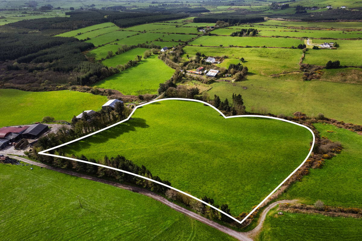 Lot 2 comprises just over eight acres of land, about 700m west of the main block, with a long stretch of public road frontage. Lot 2 comprises just over eight acres of land, about 700m west of the main block, with a long stretch of public road frontage.