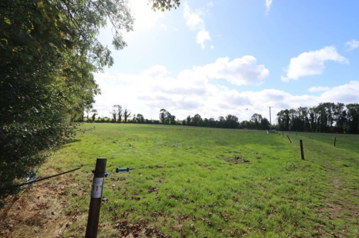 Some of the quality land on the 122-acre farm at Graiganster, Kilmallock, up for public auction Some of the quality land on the 122-acre farm at Graiganster, Kilmallock, up for public auction