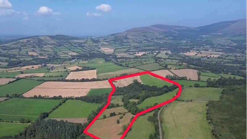 37-acre Wexford farm "exceeded all expectations" at auction
