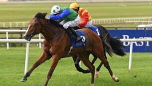 <p>SAINT BE PRAISED: Cap Saint Martin and Dylan Browne McMonagle win the Irish EBF Median Sires Series Maiden from Iron Fist. 	Picture: Healy Racing </p>