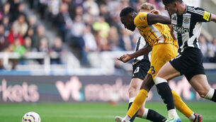 Danny Welbeck scores the winner for Brighton (Owen Humphreys/PA)