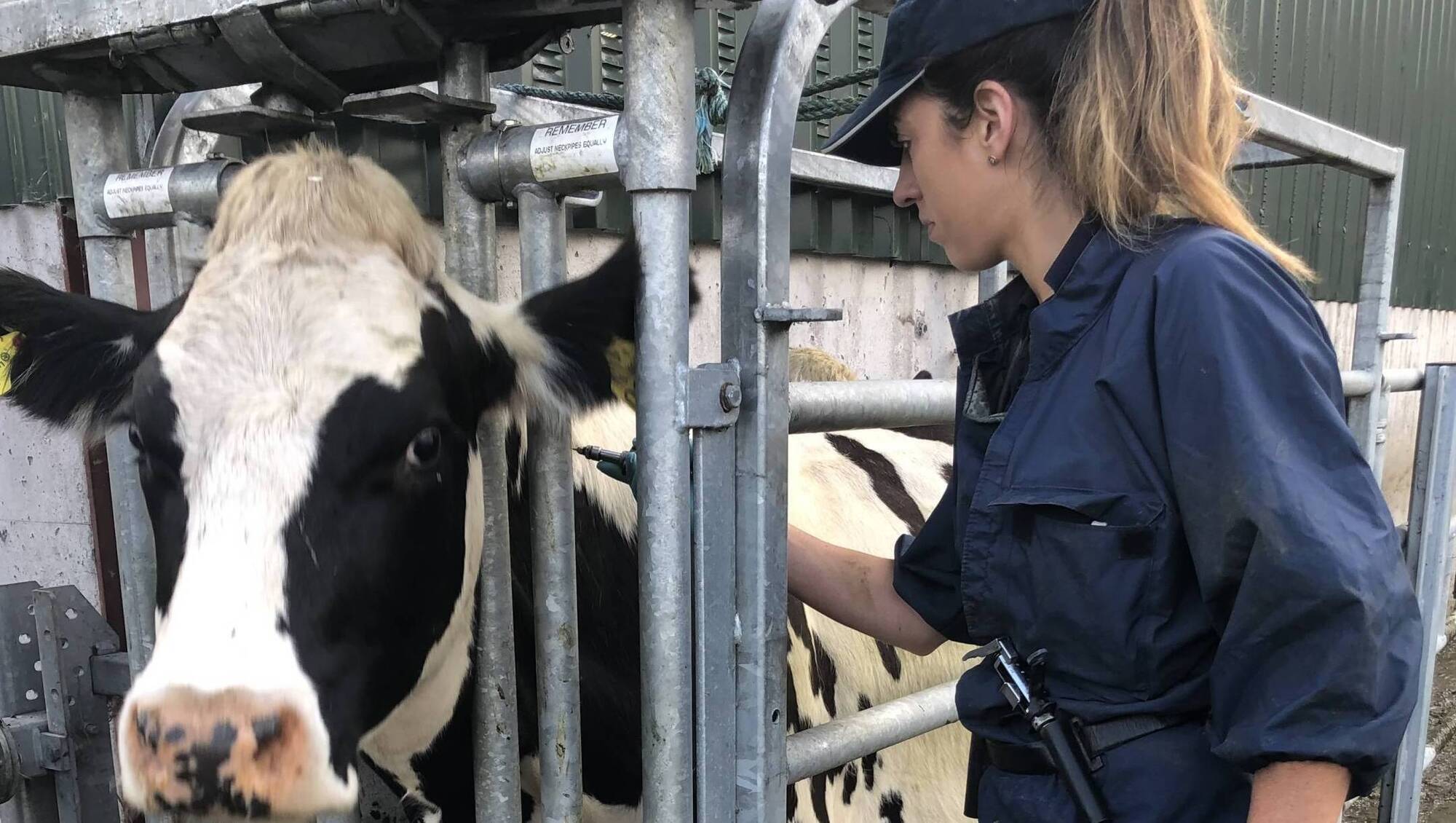 Hazell Mullins: The TB test - the anxious wait