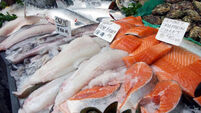 Small increase in white-fish quotas
