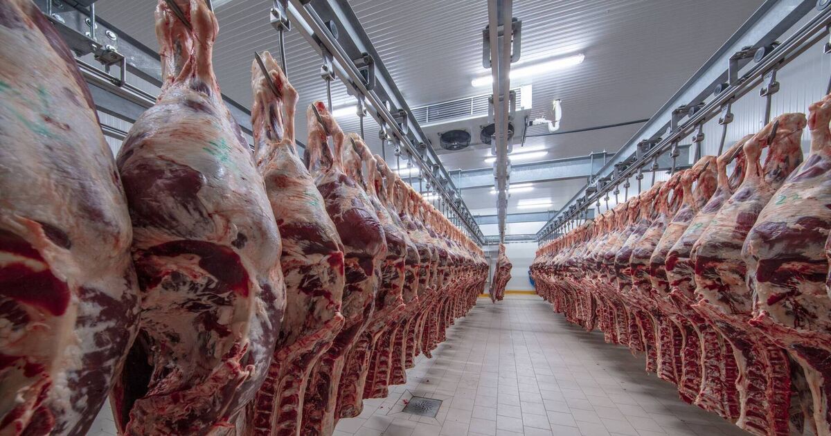 Northwest beef prices running 1015c/kg ahead of southern factories