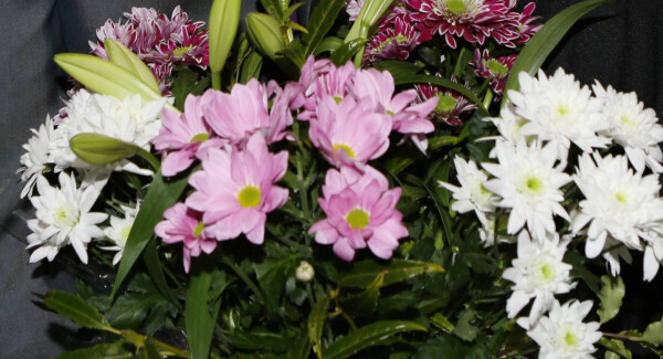 #CoronavirusSolidarity diary: Florist gives flowers 'free of charge' to Glasnevin Cemetery