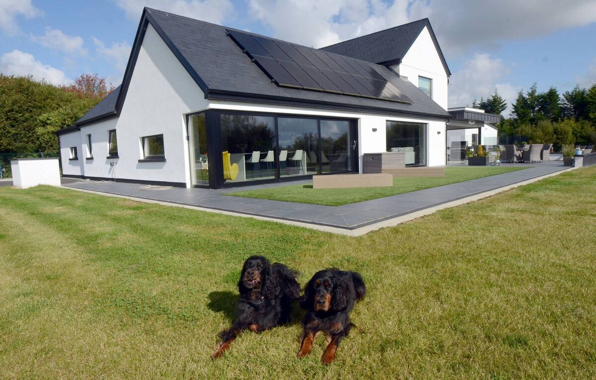 The household pooches are all smiles as they bask in the sunlight. Behind them is the outdoor living space, from which they and their humans can access the kitchen via sliding doors. The household pooches are all smiles as they bask in the sunlight. Behind them is the outdoor living space, from which they and their humans can access the kitchen via sliding doors.