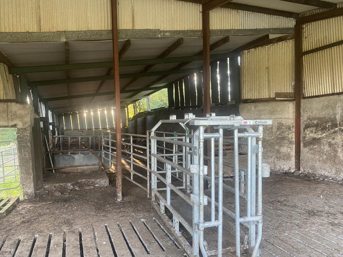 Some of the cattle-handling facilities on the farm. Some of the cattle-handling facilities on the farm.