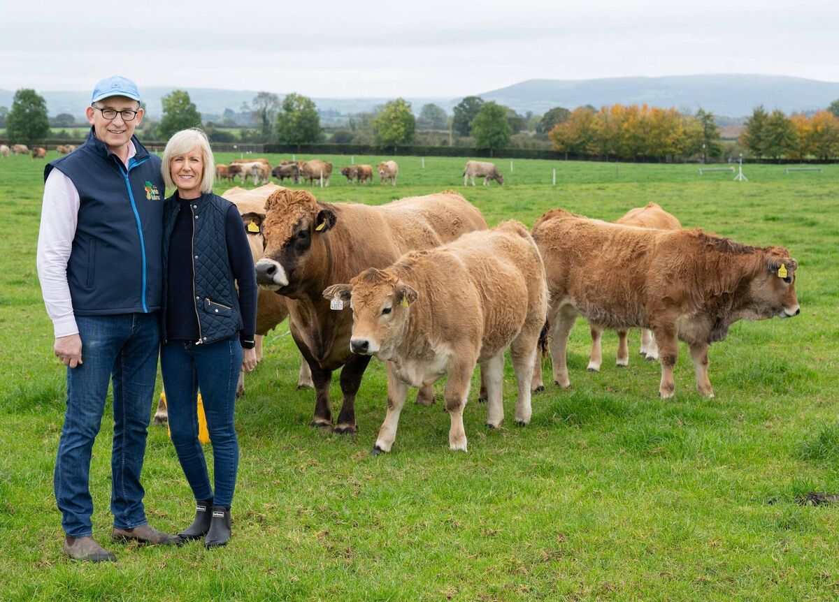 Jim and Ann Woulfe. Picture: Gerard McCarthy Photography Jim and Ann Woulfe. Picture: Gerard McCarthy Photography