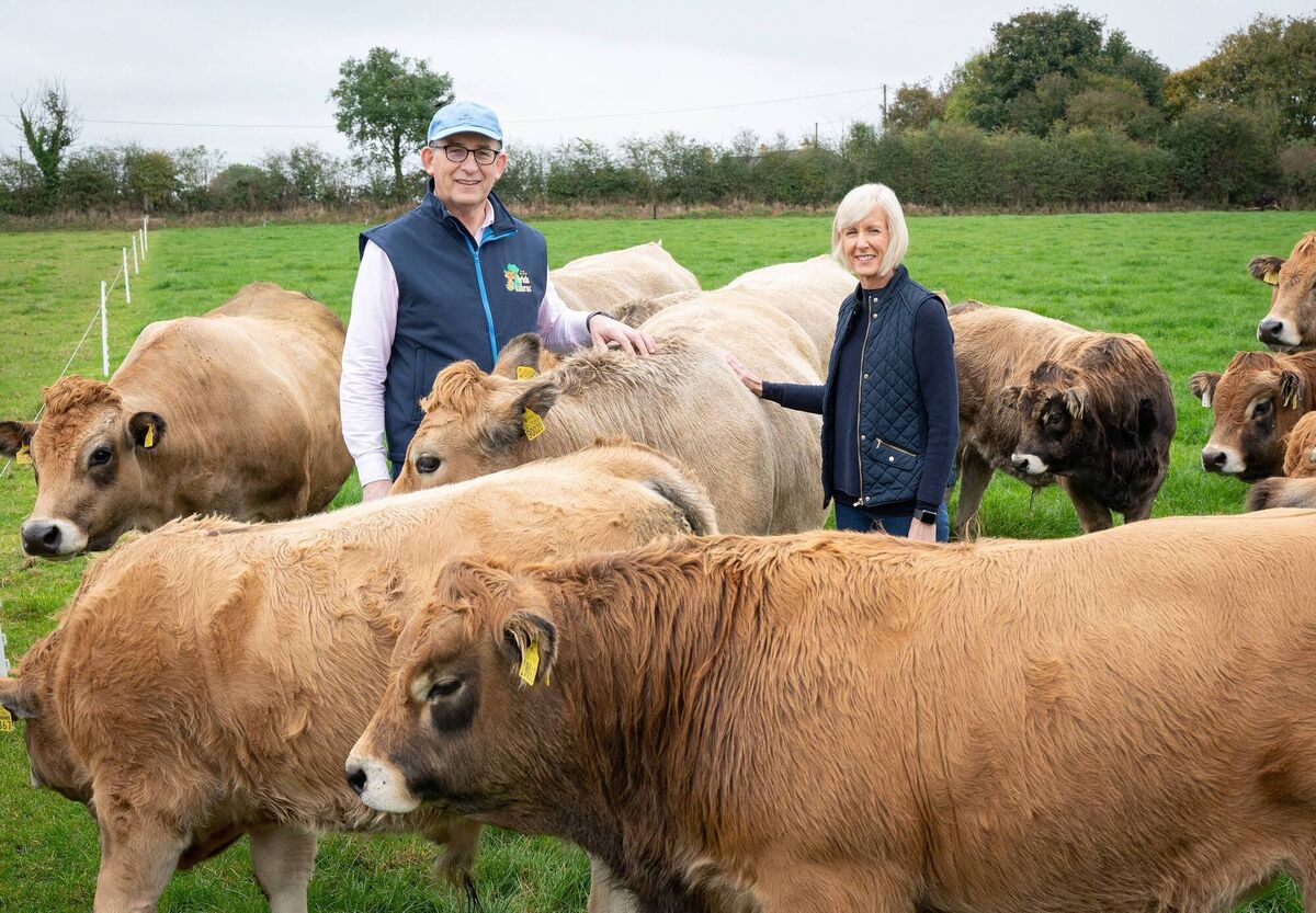 Jim and Ann Woulfe. Picture: Gerard McCarthy Photography Jim and Ann Woulfe. Picture: Gerard McCarthy Photography