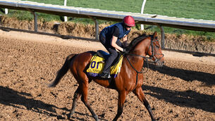 <p>BREEDERS BOUND: City Of Troy and Rachel Richardson pictured on the dirt track for morning exercise ahead of The Breeders Cup Classic.</p>