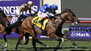 <p>KEANE EDGE: Colin Keane rides Magnum Force to victory in the  Breeders' Cup Juvenile Turf Sprint. 	Picture: AP Photo/Gregory Bull</p>