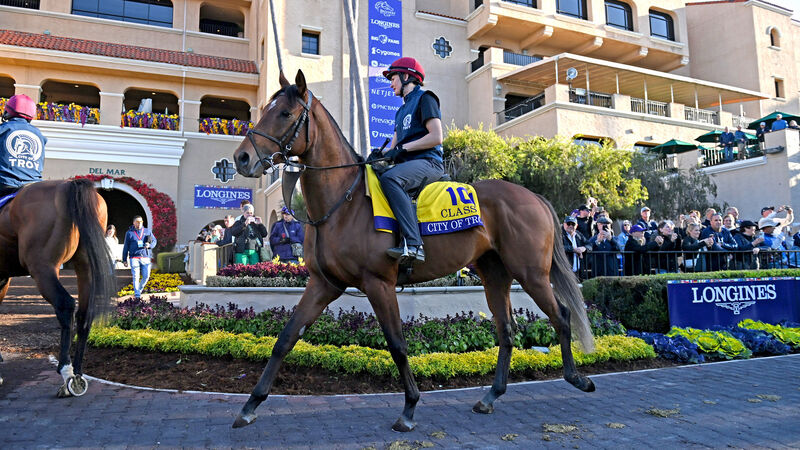 Aidan O’Brien’s gamble to end hoodoo with City Of Troy gets lost in Californian dirt