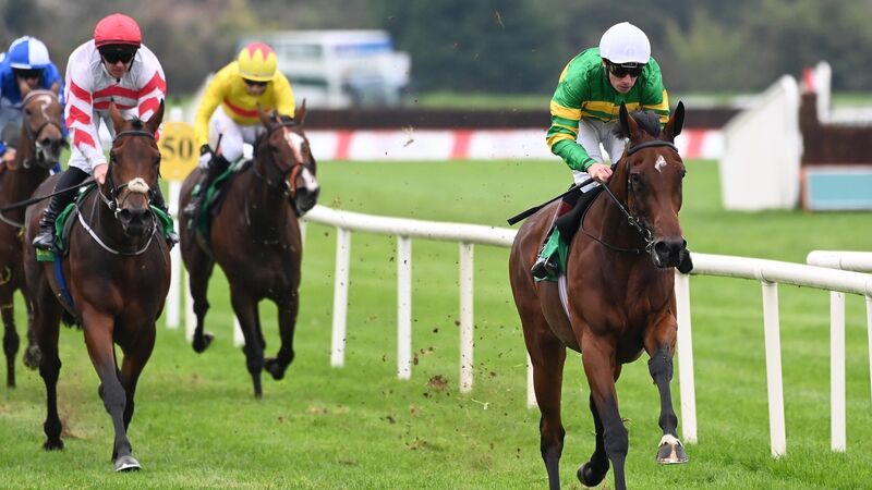 Beyond Your Dreams can strike on hurdling debut at Fairyhouse