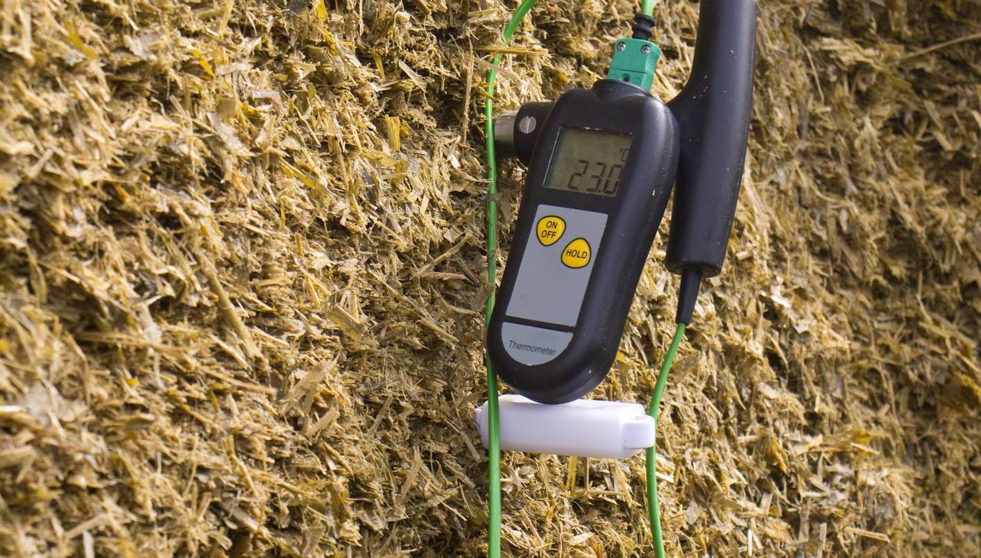 Hazell Mullins: Cows are what they eat - so make sure you know what's in their feed