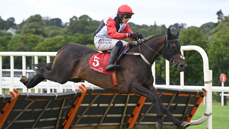 Saint Sam can land Clonmel Oil spoils 