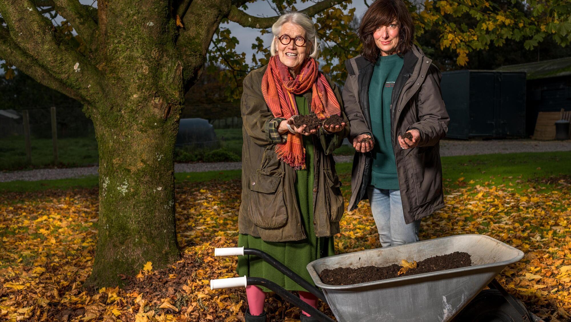 Sustainable food: Learn how to grow it yourself at Ballymaloe 