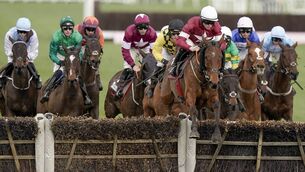 <p>STELLAR EFFORT: Stellar Story and Sam Ewing (white cap) en route to winning the Albert Bartlett Novices' Hurdle at this year's Cheltenham Festival. 	Picture: Alan Crowhurst/Getty Images</p>