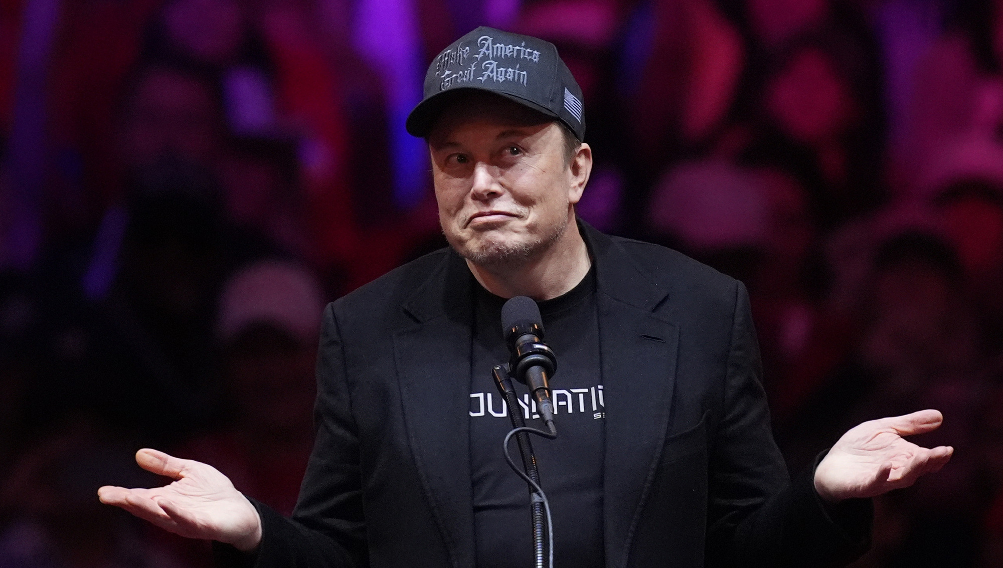Donald Trump appoints Elon Musk to advise White House on government efficiency