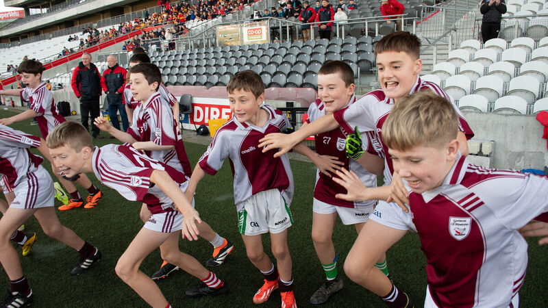 Sciath na Scol: Double joy for Gaelscoil Ui Riordain