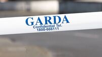 Man dies after being struck by a van in Glanmire
