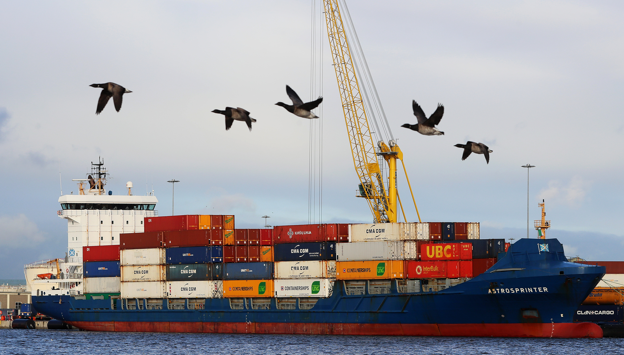 Value of Irish exports hits record high as US demand grows 64%