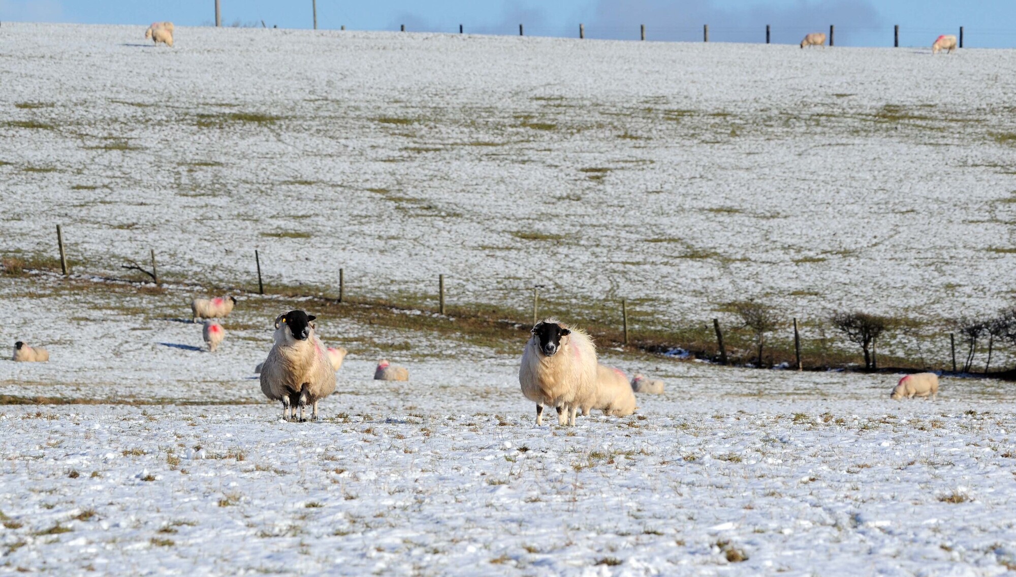 People 'are going to get quite a shock' as 'first cold snap of the season' to bite